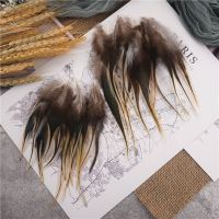 Pheasant Feathers for Crafts Catcher Accessories Jewelry Creation Handicraft Decorations