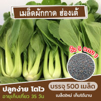 เมล็ดพันธุ์ผักกาดฮ่องเต้ 500 เมล็ด? แบ่งขาย (ซื้อ 5 แถม 1)