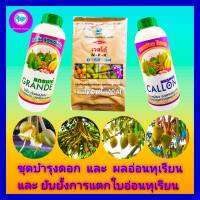 ชุด บำรุงดอก และ ผลอ่อนทุเรียน + หยุดใบอ่อนทุเรียน แคลลอน(แคลเซียมโบรอน) 1 L + แกรนเด้( อะมิโน) 1L+ ปุ๋ยเกล็ด 0-52-34 1 kg  ดอก ผล สมบูรณ์แข็งแรง