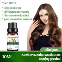 【Official Original】ginger Hair Oil น้ำยาปลูกผม ฟื้นฟูผมแห้งเสีย ลดผมร่วง บำรุงรากผม ดูแลผม บำรุงผมแห้ง เซรั่มปลูกผม แตกปลาย ช่วยปรับปรุงผมร่วง