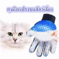 narak..บริการเก็บเงินปลายทาง  เขียนคิ้ว ดินสอเขียนคิ้วแบบเหลา แปรง PP C8 ถุงมือแปรงขนสัตว์เลี้ยง อุปกรณ์แปรงขนแมว แปรงขนสุนัข หวีขนแมว หวีขนสุนัข DST​(ถ้าไม่ได้ระบุ ราคาต่อ1ชิ้นนะค๊ะ) ( สอบถามรายละเอียดทักแชทนะคะ )