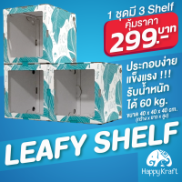 LEAFY SHELF 1 ชุด 3 Shelf (ชั้นวาง DIY รักษ์โลก)