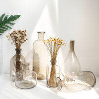 Ins Nordic Glass e Gray Bubble Vase Home Living Room Table Decoration Flower Vases Terrarium Containers Wedding Bottle