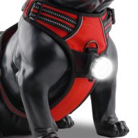 ∋ↂ Dog LED Lights Pet Harness Collar Accessories Lighting Night Walk Safety Flashlight Puppy Luminous USB Rechargeable Pet Supplies