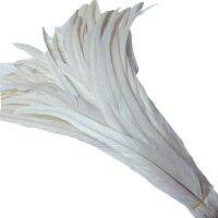 Hot Sale 50Pcs White Rooster Tail Feather 35-40CM 14-16inch Cheap Dyed Rooster Feathers Wedding Decoration clothing accessorie