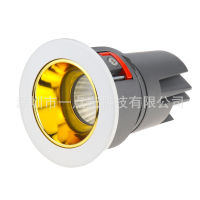 Led Ceiling Lamp High Power 12Wcob Embedded Installation Store Clothing Store Hotel Lighting Spotlights