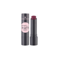 essence PERFECT matte lipstick - เอสเซนส์เพอร์เฟ็คแมตต์ลิปสติก