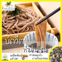 เมล็ดพันธุ์ บัควีต (ทำเส้นโซบะ) 150 เมล็ด Buckwheat (Fagopyrum esculentum) เมล็ดพันธุ์แท้ นำเข้าจากต่างประเทศ ไดคอน โตไว