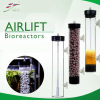 Airlift Bioreactors ระบบกรองชีวภาพ เพิ่มออกซิเจนในน้ำ ช่วยกำจัดของเสีย เหมาะกับตู้ปลาสวยงาม และตู้กุ้งแคระ