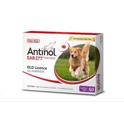 Antinol สุนัข อาหารเสริมบำรุงข้อ ลดอักเสบ EXP03/2025
