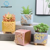 Strongwell Simplicity Square Ceramic Flower Pot With Hole Fairy Garden Decoration Succulent Flowerpot Home Office Bonsai Planter