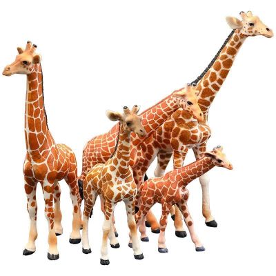Solid simulation model of wildlife and the giraffe giraffe toys model man/girl gift sets