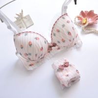 Japanese Style Fresh Printed Film Cup without Steel Ring Fresh Girl Cute Push up y Underwear Set