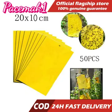 50-200Pcs Sticky Fruit Fly Traps, Fungus Gnat Killer Trap use for Indoor  Outdoor