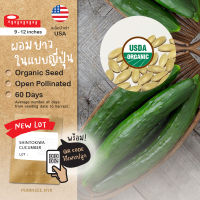 เมล็ดผักนำเข้า แตงกวาญี่ปุ่น Japanese Cucumber (Organic Seed) แตงกวาลูกยาว