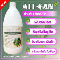 ปุ๋ยน้ำผักคะน้าสูตรเข้มข้นพิเศษใช้ได้นานจากธรรมชาติ100%ALL GAN1000mlช่วยไม่ให้ใบไหม้ใบจุดสีน้ำตาลใบหยิกป้องกันศัตรูพืชเร่งการเจริญเติบโต