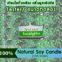 New Year Gift ของขวัญ ปีใหม่ คริสต์มาส เทียนหอม อโรม่า (ขนาดทดลอง)  Tealight Eucalyptus  Soy Candle Aroma  15 g -  กลิ่นยูคาลิปตัสแท้ 100%