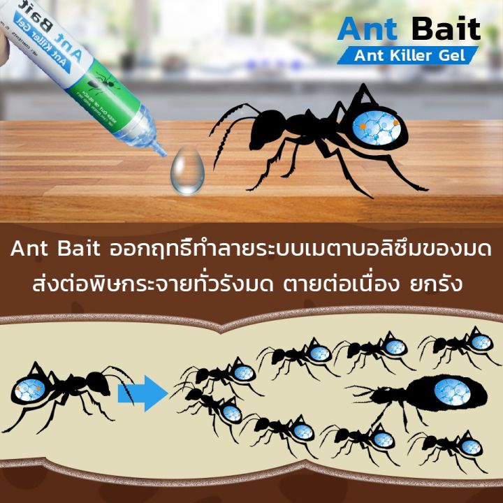 ant-bait-กำจัดมด-เจลกำจัดมด-เหยื่อกำจัดมด-เหยื่อมด-เหยื่อล่อมด-เจลมด-เหยื่อฆ่ามด-ยาฆ่ามด