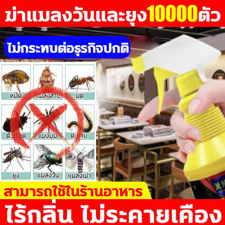 ยากำจัดแมลงวัน-ฆ่าแมลงวัน-100000-ใน-1-วิ-ยาฆ่าแมลงวัน-500g-น้ำยากำจัดแมลงวัน-ไม่มีกลิ่น-สเปรย์ไล่แมลงวัน-สูตรอ่อนโยน-ไม่ระคายเคือง-ยาไล่แมลงวัน-ไม่อันตรายต่อคนและสัตว์เลี้ยง-ยา-ฆ่า-แมลงวัน-ฉีด-ได้ผล10