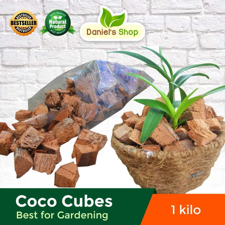 Coco Cubes 200 grams per packed best to growing orchids / Best for