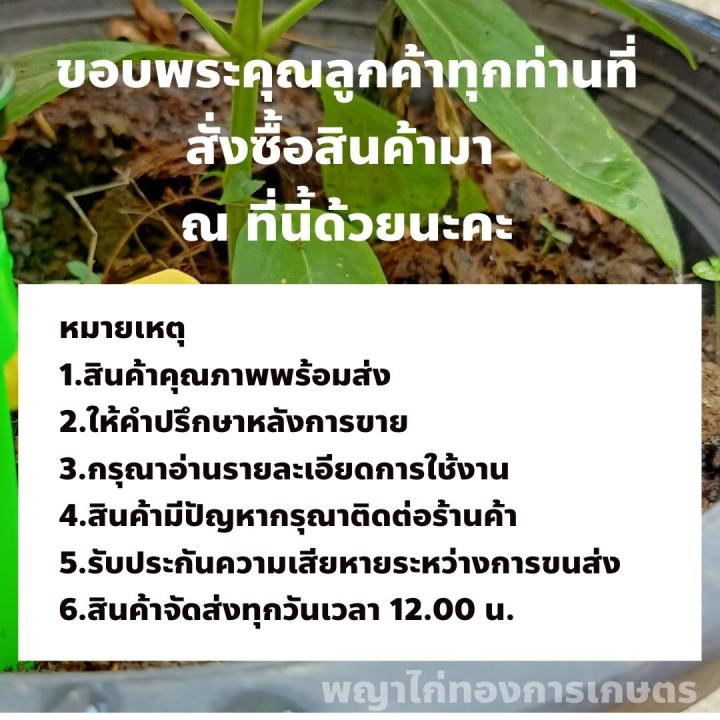 ไตรโครเดอร์ม่า-ขนาด-100-กรัม-รักษาโรคพืช-ป้องกันโรครากเน่าโคนเน่า-ป้องกันผลแห้ง-ป้องกันดอกแห้ง-ป้องกันผลร่วง-ป้องกันดอกร่วง