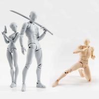 Anime figure movable Figures Toy Body Kun Body Chan Action Figure Collectible Model Toys Draw Sketch Painting Mannequin