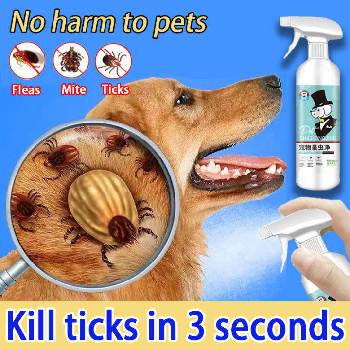 Multipurpose Pets deodorant Anti Flea Spray Kucing Cat Dog Spray Flea ...