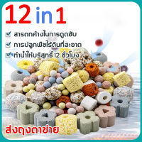 12 in 1 วัสดุกรอง  วัสดุกรองตู้ปลา หินกรองรวม500g ช่วยทำให้น้ำใส พร้อมถุงซิป อุปกรณ์ปลาสวยงาม หินกรอง หินกรองตู้ปลา วัสดุกรองน้ำตู้ปลา