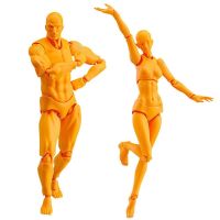 Body Doll, Artists Manikin Blockhead Jointed Mannequin Drawing Figures for Figure Model Male+Female Set (Orange)