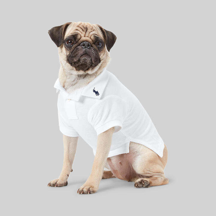 Polo Ralph Lauren ชุดสัตว์เลี้ยง PetwearCotton Mesh Dog Polo Shirt