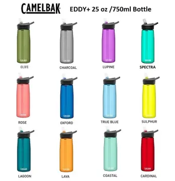 Camelbak Eddy+ Water Bottle, Coastal, 25 Ounces