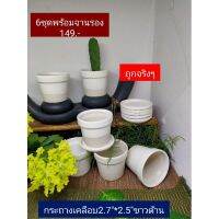 กระถางเคลือบเซรามิค2.7*2.5พร้อมจานรอง6ชุด