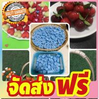 ?พิมพ์ลูกชุบผลไม้ขนาด 5กรัม (6ชิ้น เลือกเเบบเองได้) FoodGrade 100%? จัดส่งฟรี มีเก้บปลายทาง