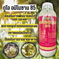 ดูโอ อมิโนซาน85 (ตราหญิงงามขนาด 1 ลิตร) ส่งเสริมการพัฒนาของใบ ดอก และผล ลดการหลุดร่วงของดอกและผล ขยายผลอ่อนโตเร็ว