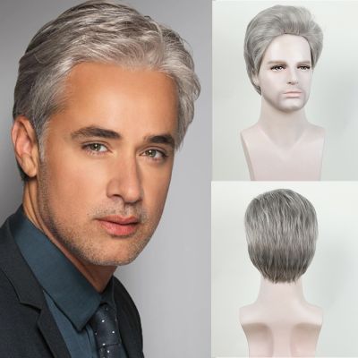 【jw】✓❧◄  Synthetic Short Wigs for Men New Fashion Fluffy Straight Hair Gray Cut Wig Use