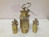 DN8 1/4" DN10 3/8" DN15 1/2" DN20 3/4"PT Male Air Compressor Safety Pressure Relief Valve A21W-16T 3/5/7/8/10/11/12.5/15KG Plumbing Valves