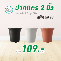 กระถางทรงกลมปากแตร 2 นิ้ว แพ็ค 50 ใบ กระถางปลูกต้นไม้ กระถางปลูกแคคตัส กระถางราคาถูก กระถางทรงสวยดูดี