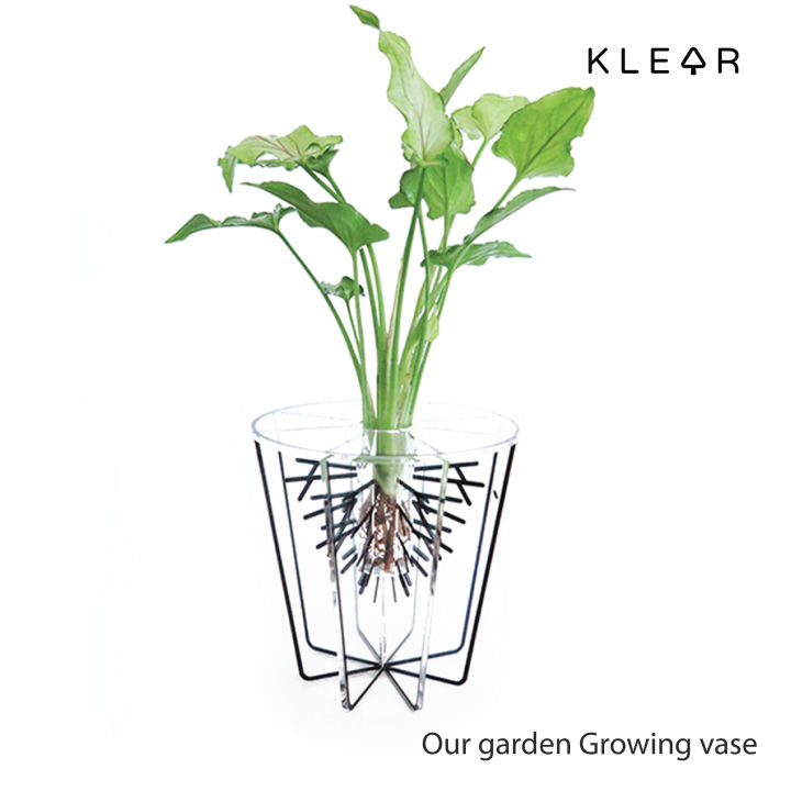 klearobject-our-garden-growing-vase-แจกันดอกไม้-แจกันอะคริลิค-รูปทรงกรงนก-แจกันดอกไม้อะคริลิค-แจกันแปลกใหม่-แจกัน-ใส่ดอกไม้-แจกันใส่ดอกไม้-ดอกไม้