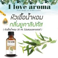 หัวเชื้อน้ำหอม Concentrated Aroma Fragrance - Eucalyptus ขนาด 35 ml.