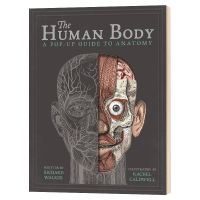 Body structure English original three-dimensional book the human body English version childrens health education