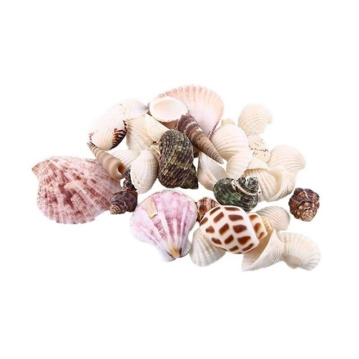 30pcs-bag-mix-aquarium-beach-nautical-diy-shells-mixed-bulk-approx-100g-sea-shell-nautical-home-decor