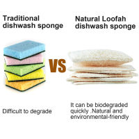 ฟองน้ำล้างจานธรรมชาติ 4 ชิ้น Loofah ฟองน้ำขัดจานสำหรับทำความสะอาดจานในครัว 1 ฟองน้ำล้างจานธรรมชาติมีลักษณะของการขยายตัวที่นุ่มนวลและการดูดซึมน้ำที่แข็งแกร่งเมื่อดูดซับน้ำ สามารถขจัดคราบน้ำมันและสิ่งสกปรกได้อย่างรวดเร็ว ไม่ตก