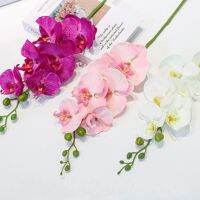 Latex 8 Heads Artificial Plastic Butterfly Orchid Vase Home Decor Wedding Decorartificial Flower