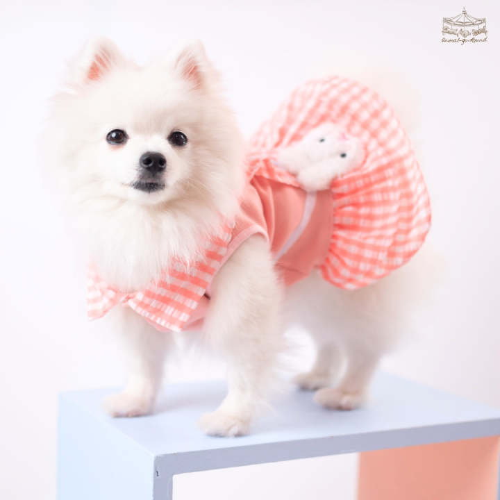 animal-go-round-เสื้อผ้าเครื่องแต่งกาย-สัตว์เลี้ยง-หมา-แมว-สุนัข-รุ่น-new-bunny-pink-girl