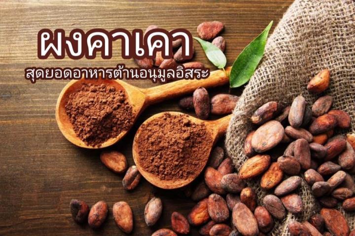 คาเคา-คาเคาผง-ผงคาเคา-cacao-คาเคาออร์แกนิค-organic-cacao-powder-คาเคา-พาวเดอร์-คาเคาแท้-organic-superfoods-โกโก้-ตรา-greenektar-ขนาด-100-กรัม