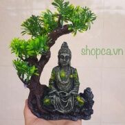 Tượng phật thiền bên gốc cây trang trí bể cá, bể bán cạn, bể thủy sinh