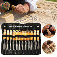 12 Pcs/Set Woodworking Engraving Cutter Tools Suit Carved Wood Hand Tools Engraving Chisel Set