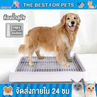 DrewPet ห้องน้ำสุนัข ถาดฝึกฉี่สุนัข แผ่นรองฉี่สุนัข ถาดฉี่สุนัข ห้องน้ำหมาขอบสี่เหลี่ยม มีเสาถอดได้ 50x36x5CM