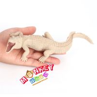 Monkey Toys - โมเดลสัตว์ Crocodile จระเข้ เผือก ขนาด 20.50 CM (จากหาดใหญ่)