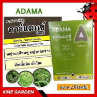 ?วัชพืช? คาร์แมกซ์ โกลด์ 2 กิโลกรัม ไดยูรอน ใช้ก่อนวัชพืชงอกหรือหลังวัชพืชงอกแล้วในระยะเริ่มต้นกำจัดวัชพืชใบแคบใบกว้าง ฆ่าหญ้า